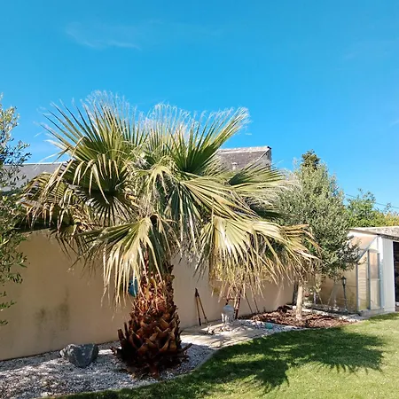 Les Palmiers Bed & Breakfast *