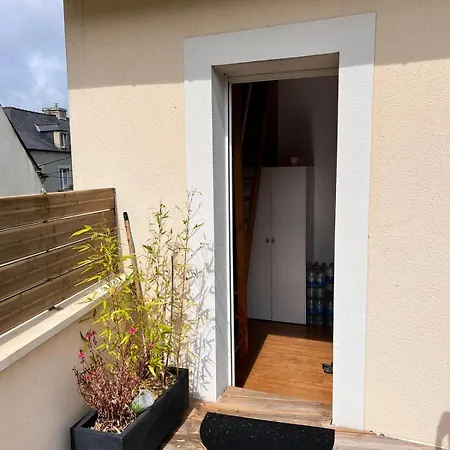 Bed & Breakfast Les Palmiers Bayeux