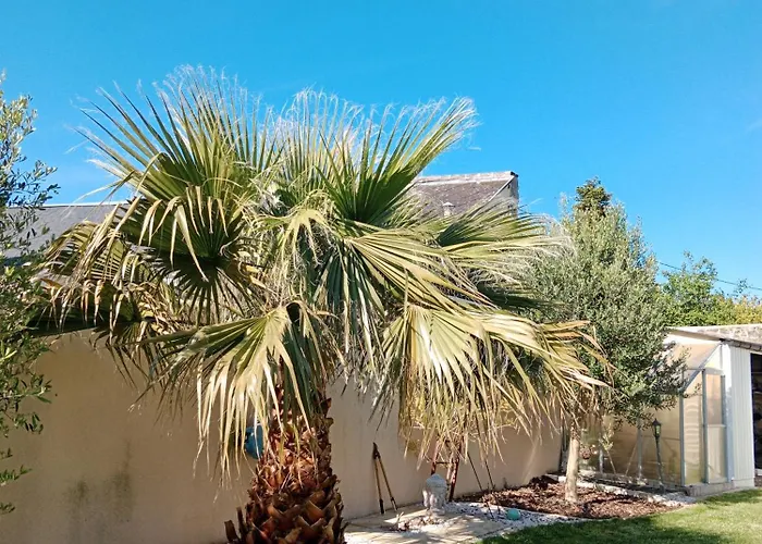 Les Palmiers Bed and breakfast 4*